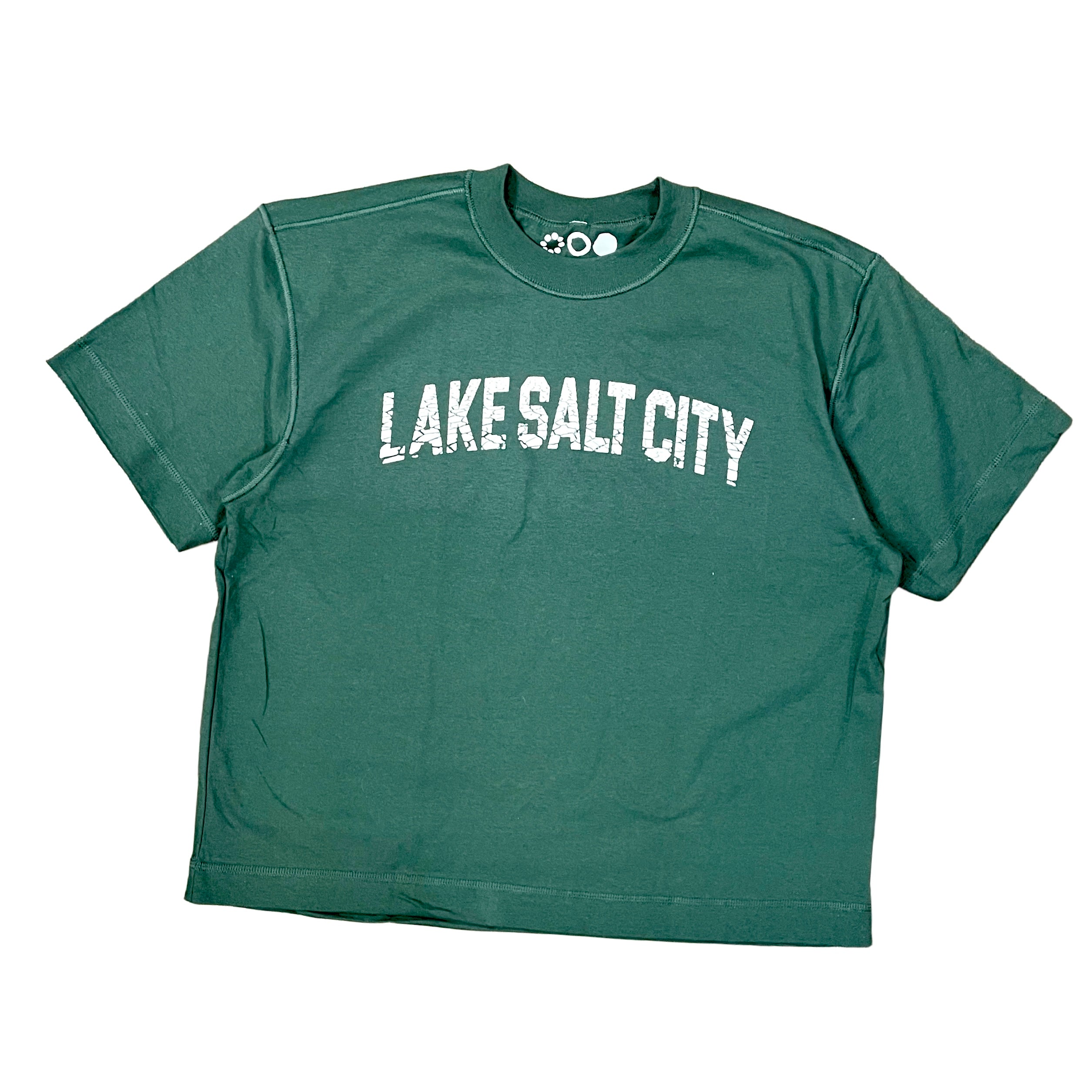 LAKE SALT CITY tee