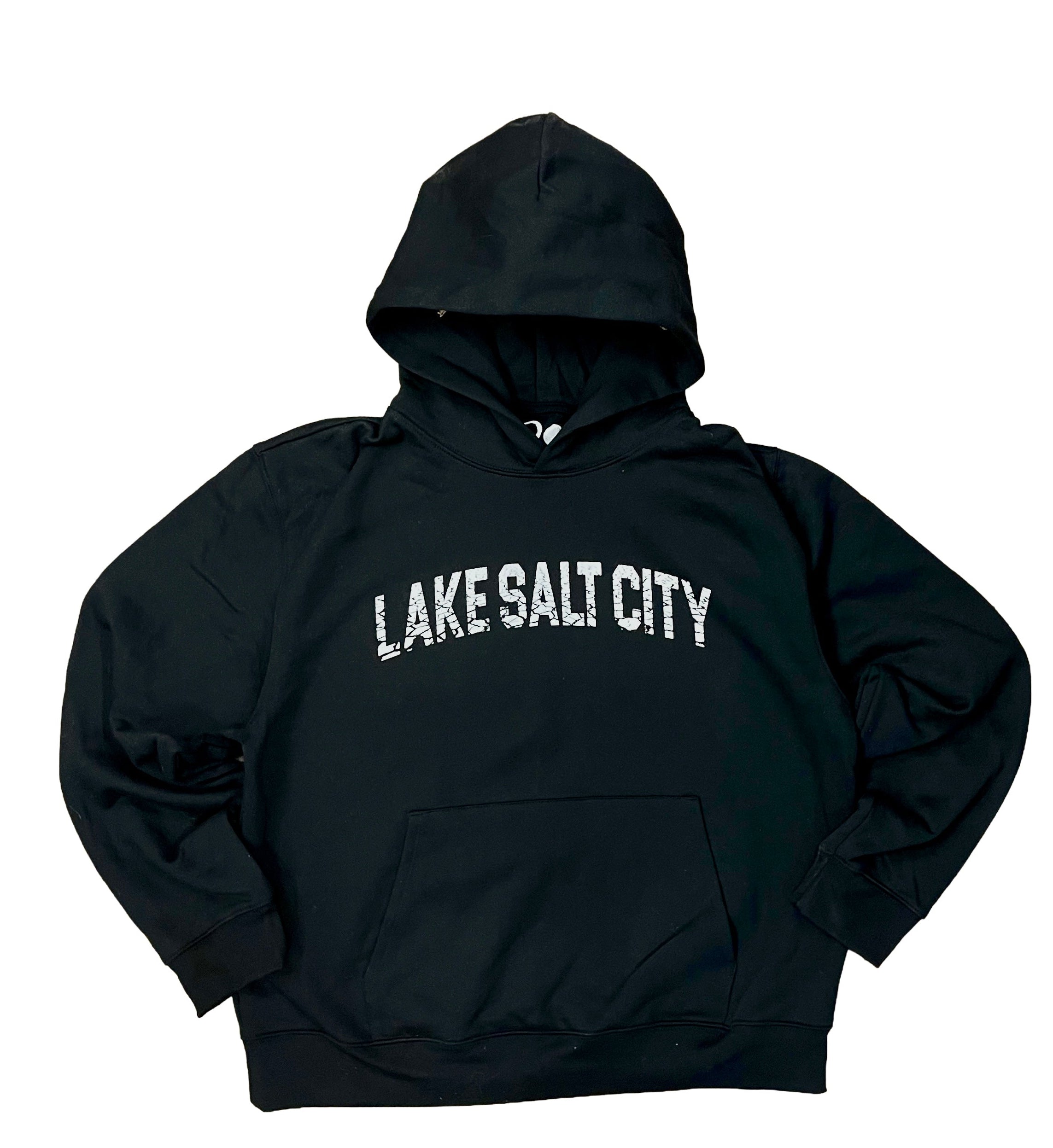 LAKE SALT CITY hoodie